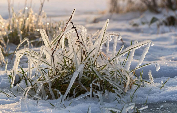 В Ивановской области ночью до -7˚С, на дорогах гололедица